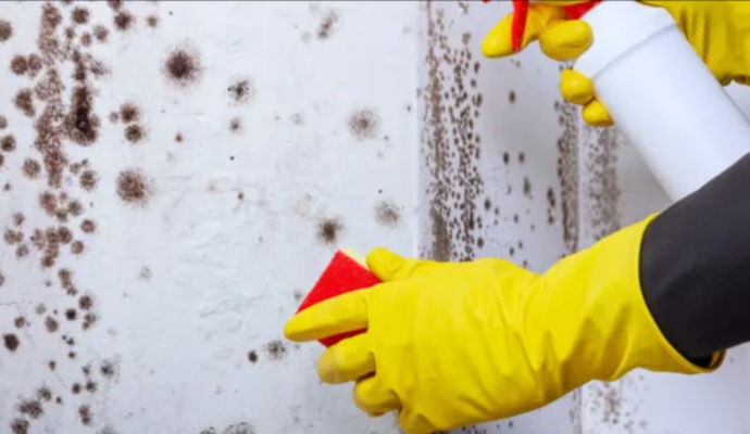 Tips for Preventing Mold Growth After Water Damage in Your Home
