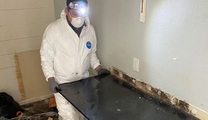 Professional mold remediation service by Fire Reconstruction Inc.
